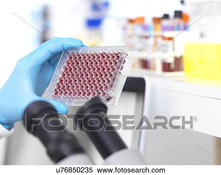 Stock Photography - Medical testing. Fotosearch
