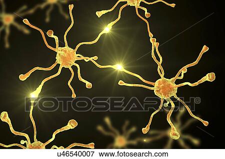 Nerve cells, illustration View Large Photo Image Stock Photo - Nerve cells, illustration. Fotosearch