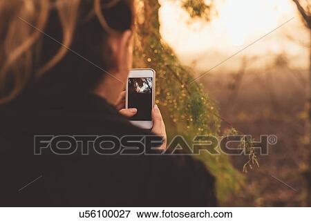 Stock Photo - Over shoulder view of woman in woods looking at smartphone. Fotosearch