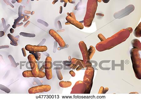 Stock Image - Pseudomonas aeruginosa bacteria, illustration. Fotosearch
