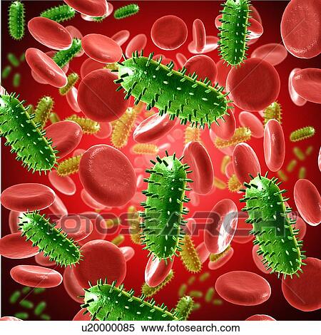Rabies virus in the blood, illustration View Large Photo Image Stock Photography - Rabies virus in the blood, illustration. Fotosearch