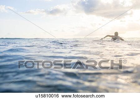Stock Photograph - Rear view of woman paddling on surfboard in sea, Nosara, Guanacaste Province, Costa Rica. Fotosearch