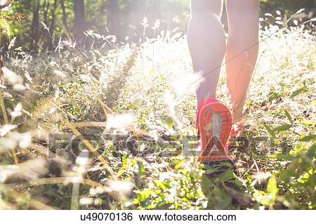 Stock Photograph - Rear view of woman's legs strolling in sunlit rainforest, Nosara, Guanacaste Province, Costa Rica. Fotosearch