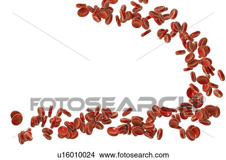 Red blood cells, illustration View Large Photo Image Picture - Red blood cells, illustration. Fotosearch