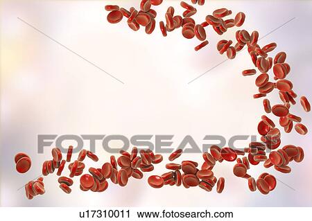 Red blood cells, illustration View Large Photo Image Stock Image - Red blood cells, illustration. Fotosearch