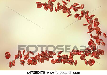 Stock Image - Red blood cells, illustration. Fotosearch