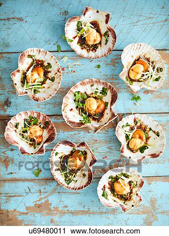 Scallops with shells starter View Large Photo Image Stock Image - Scallops with shells starter. Fotosearch