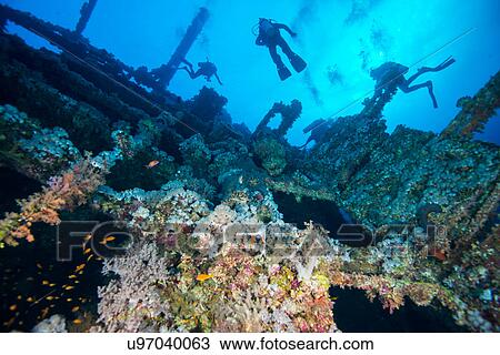 Scuba divers investigating coral covered shipwreck, Red Sea, Marsa Alam, Egypt View Large Photo Image Stock Image - Scuba divers investigating coral covered shipwreck, Red Sea, Marsa Alam, Egypt. Fotosearch