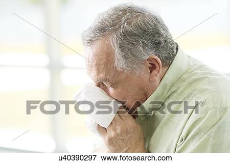 Senior man blowing nose on tissue View Large Photo Image Stock Photo - Senior man blowing nose on tissue. Fotosearch