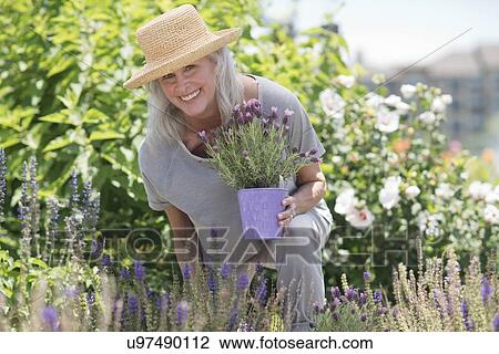 Senior woman gardening View Large Photo Image Stock Image - Senior woman gardening. Fotosearch