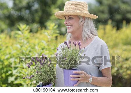 Senior woman holding pot plants View Large Photo Image Picture - Senior woman holding pot plants. Fotosearch