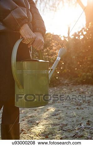 Stock Photo - Senior woman standing in garden, holding watering can, mid section. Fotosearch
