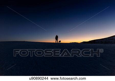 Picture - Silhouetted view of man and dog standing on hill horizon at night. Fotosearch