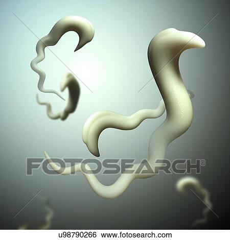 Stock Photograph - Sleeping sickness parasites, illustration. Fotosearch