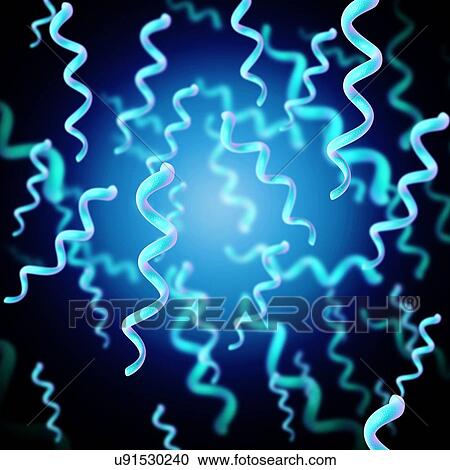 Stock Image - Spirillum bacteria, illustration. Fotosearch