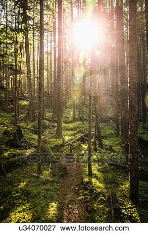Stock Photo - Stawamus Chief Provincial Park, Squamish, British Columbia, Canada. Fotosearch