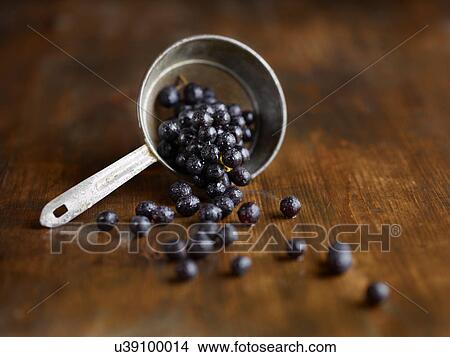 Picture - Still life of scoop of black grapes on wooden surface. Fotosearch