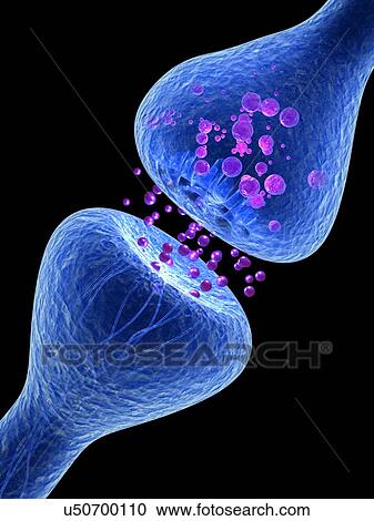 Stock Image - Synapse illustration. Fotosearch