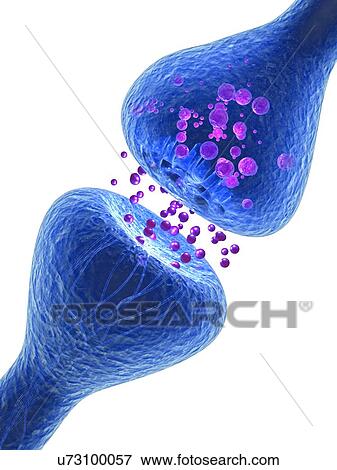 Stock Photo - Synapse illustration. Fotosearch