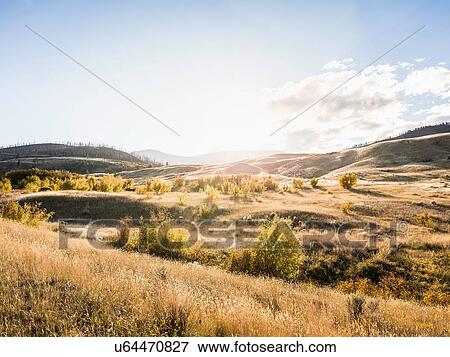 Stock Photo - Trans Canada Highway, near Kamloops, Boston Flats, British Columbia, Canada. Fotosearch