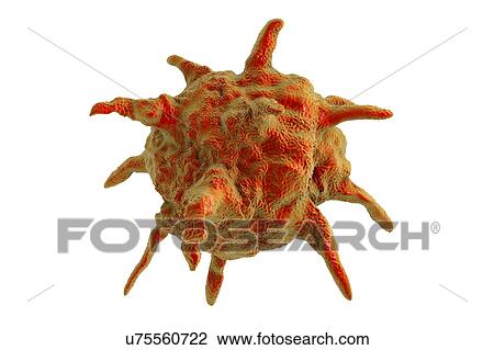 Virus particles, illustration View Large Photo Image Stock Image - Virus particles, illustration. Fotosearch