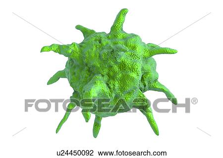 Stock Image - Viruses of different shapes, illustration. Fotosearch