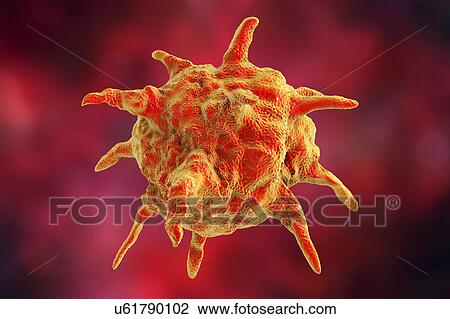 Viruses of different shapes, illustration View Large Photo Image Stock Image - Viruses of different shapes, illustration. Fotosearch