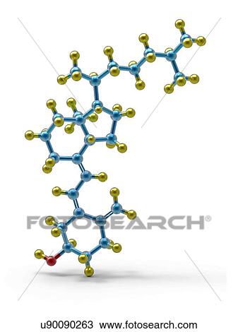 Stock Image - vitamin d bus portrait shadow 16772. tif. Fotosearch