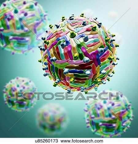Stock Image - West Nile virus particles, illustration. Fotosearch