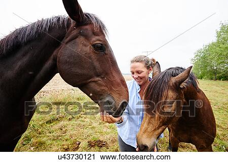 Woman feeding two horses in field View Large Photo Image Stock Image - Woman feeding two horses in field. Fotosearch