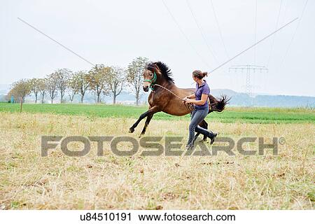 Stock Image - Woman running and leading horse while training in field. Fotosearch