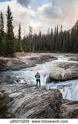 Woman standing at edge of waterfall, looking at view, Natural Bridge Falls, Kicking Horse River, Yoho National Park, Field, British Columbia, Canada View Large Photo Image Stock Photography - Woman standing at edge of waterfall, looking at view, Natural Bridge Falls, Kicking Horse River, Yoho National Park, Field, British Columbia, Canada. Fotosearch