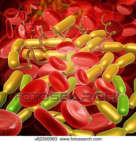 Yersinia pestis bacteria, illustration View Large Photo Image Stock Image - Yersinia pestis bacteria, illustration. Fotosearch