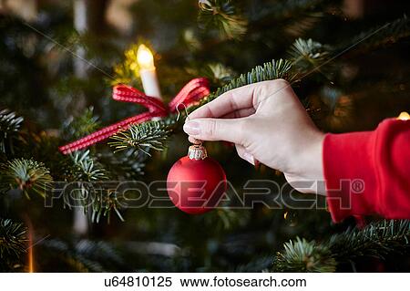 Stock Photography - Young woman hanging bauble on Christmas tree, close-up. Fotosearch