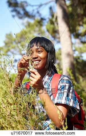 Stock Photo - Young woman, hiking, looking at wild grass. Fotosearch