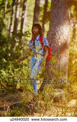 Stock Image - Young woman, hiking through forest, Cape Town, South Africa. Fotosearch