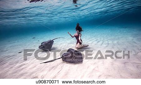 Female free diver kneeling near stingrays on seabed View Large Photo Image Stock Image - Female free diver kneeling near stingrays on seabed. Fotosearch