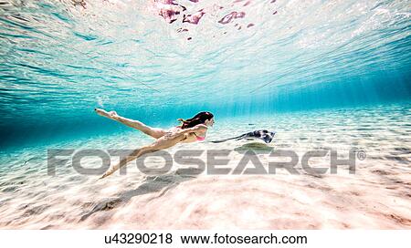 Stock Photo - Female free diver swimming with stingray near seabed. Fotosearch