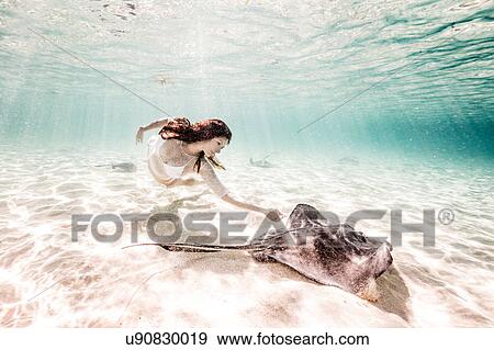 Stock Photo - Female free diver swimming with stingray on seabed. Fotosearch
