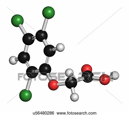 Stock Photograph - 2, 4, 5-trichlorophenoxyacetic acid (2, 4, 5-T) herbicide molecule. Ingredient of Agent Orange. Atoms are represented as spheres with conventional colour coding: hydrogen (white), carbon (grey), oxygen (red), chlorine (green).. Fotosearch