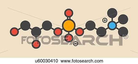 Stock Image - Alpha-GPC (L-Alpha glycerylphosphorylcholine, choline alfoscerate) molecule. Stylized skeletal formula (chemical structure): Atoms are shown as color-coded circles: hydrogen (hidden), carbon (grey), oxygen (red), nitrogen (blue), phosphorus (orange).. Fotosearch