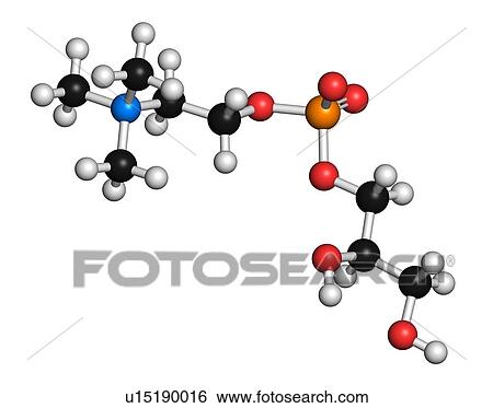 Alpha-GPC (L-Alpha glycerylphosphorylcholine, choline alfoscerate) molecule. 3D rendering. Atoms are represented as spheres with conventional colour coding: hydrogen (white), carbon (black), oxygen (red), nitrogen (blue), phosphorus (orange). View Large Photo Image Stock Photograph - Alpha-GPC (L-Alpha glycerylphosphorylcholine, choline alfoscerate) molecule. 3D rendering. Atoms are represented as spheres with conventional colour coding: hydrogen (white), carbon (black), oxygen (red), nitrogen (blue), phosphorus (orange).. Fotosearch