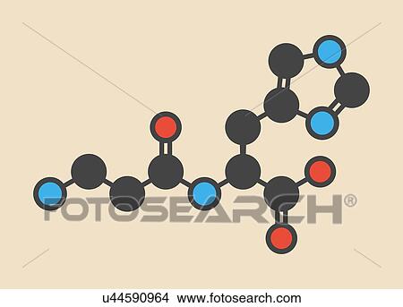 Picture - Carnosine (L-carnosine) food supplement molecule. Stylized skeletal formula (chemical structure): Atoms are shown as color-coded circles: hydrogen (hidden), carbon (grey), oxygen (red), nitrogen (blue).. Fotosearch