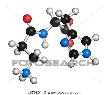 Carnosine (L-carnosine) food supplement molecule. 3D rendering. Atoms are represented as spheres with conventional colour coding: hydrogen (white), carbon (black), oxygen (red), nitrogen (blue). View Large Photo Image Stock Image - Carnosine (L-carnosine) food supplement molecule. 3D rendering. Atoms are represented as spheres with conventional colour coding: hydrogen (white), carbon (black), oxygen (red), nitrogen (blue).. Fotosearch