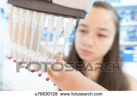 Chemistry student using multi pipette View Large Photo Image Stock Photo - Chemistry student using multi pipette. Fotosearch