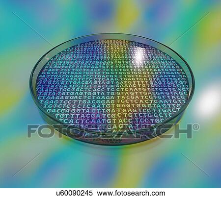 Stock Photography - Conceptual image of cultures in a petri dish containing genetic material. Computer artwork.. Fotosearch