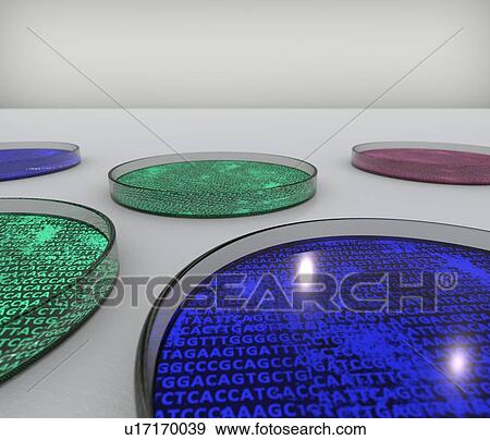 Conceptual image of cultures in petri dishes containing genetic material. Computer artwork. View Large Photo Image Stock Photo - Conceptual image of cultures in petri dishes containing genetic material. Computer artwork.. Fotosearch