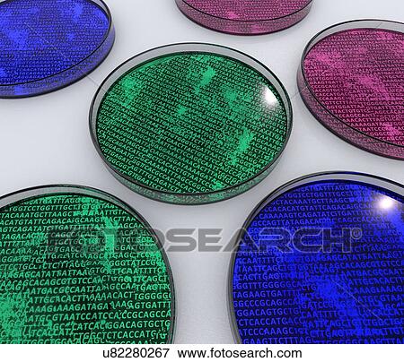 Conceptual image of cultures in petri dishes containing genetic material. Computer artwork. View Large Photo Image Stock Photo - Conceptual image of cultures in petri dishes containing genetic material. Computer artwork.. Fotosearch