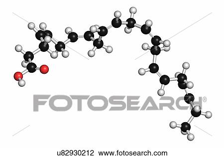 Stock Image - Docosahexaenoic acid (DHA, cervonic acid) molecule. Polyunsaturated omega-3 fatty acid present in fish oil. Atoms are represented as spheres with conventional colour coding: hydrogen (white), carbon (grey), oxygen (red).. Fotosearch