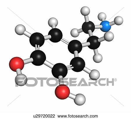 Stock Image - Dopamine neurotransmitter molecule. Also used as drug. Atoms are represented as spheres with conventional colour coding: hydrogen (white), carbon (grey), oxygen (red), nitrogen (blue).. Fotosearch